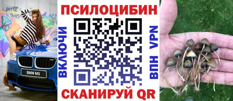 Псилоцибиновые грибы ЛСД  нарко площадка телеграм  Улан-Удэ 