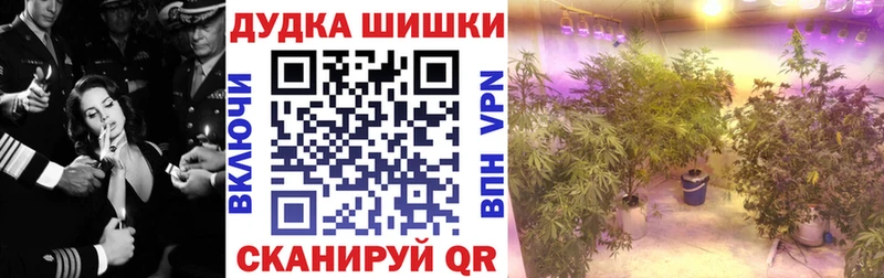 Бошки марихуана планчик  это формула  Улан-Удэ  kraken как войти 